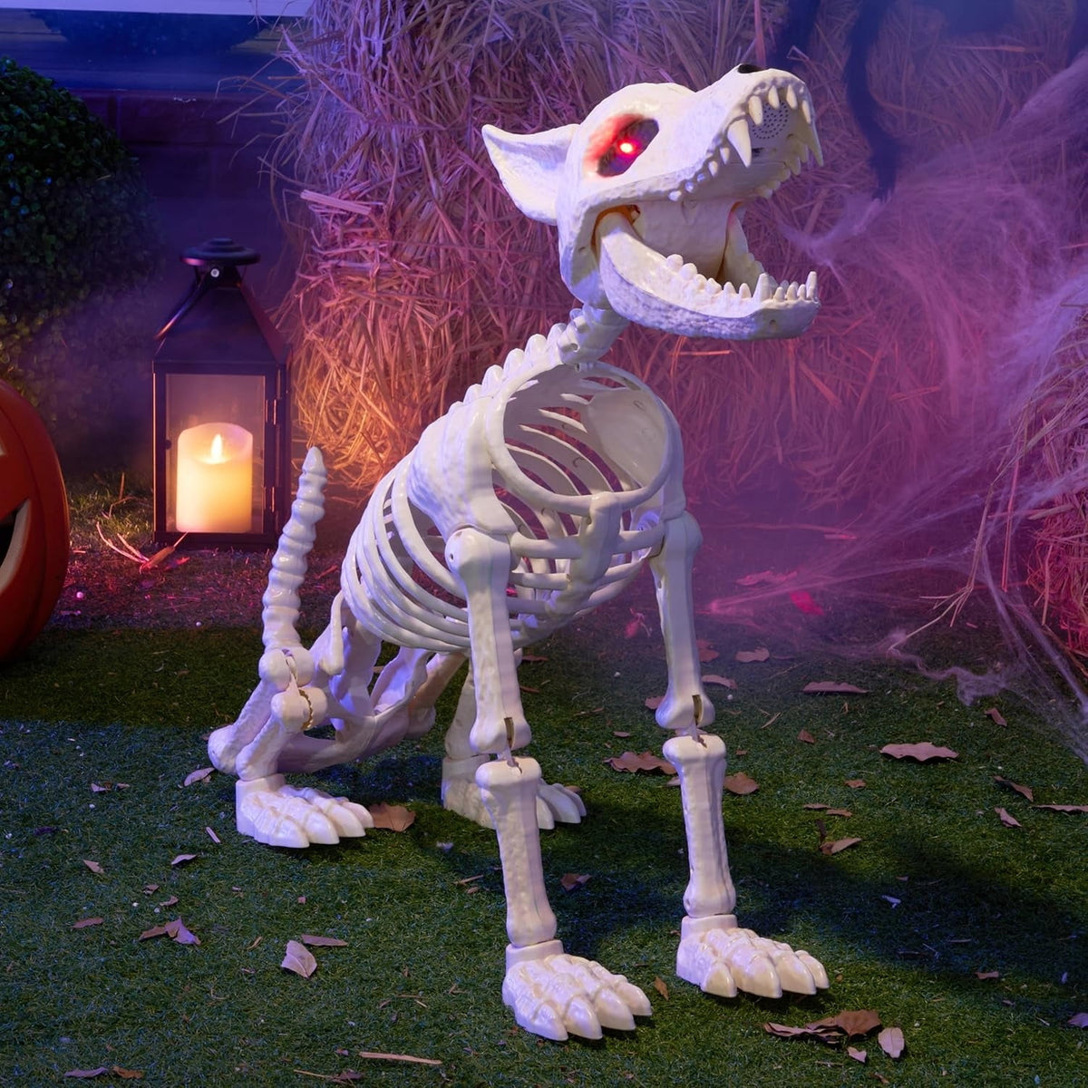 Joyfy 9.8 Inch Halloween Skeleton Dog Skeleton Halloween Decor,Pose-N-Stay Plastic Skeleton Bones with Posable Joints for Hallowmas Decoration Outdoor Haunted House Party