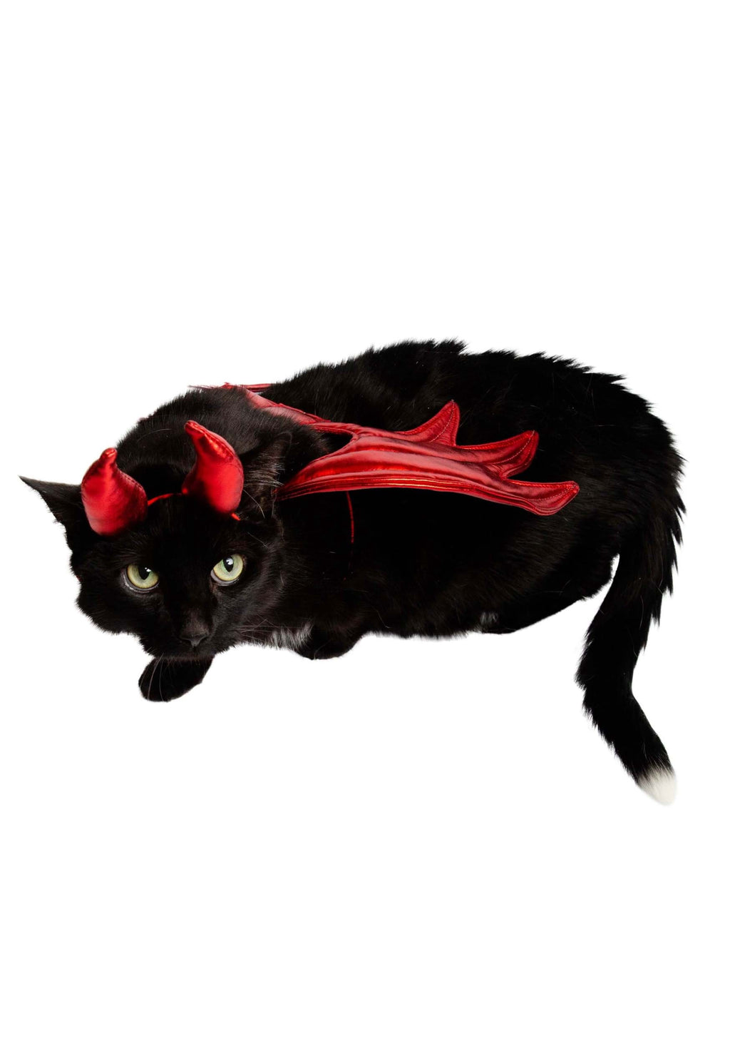 Pet Krewe Devil Dog Costume - Halloween Costumes for Dogs - Attaches to Any Pet Harness, One Size Fits All Pets