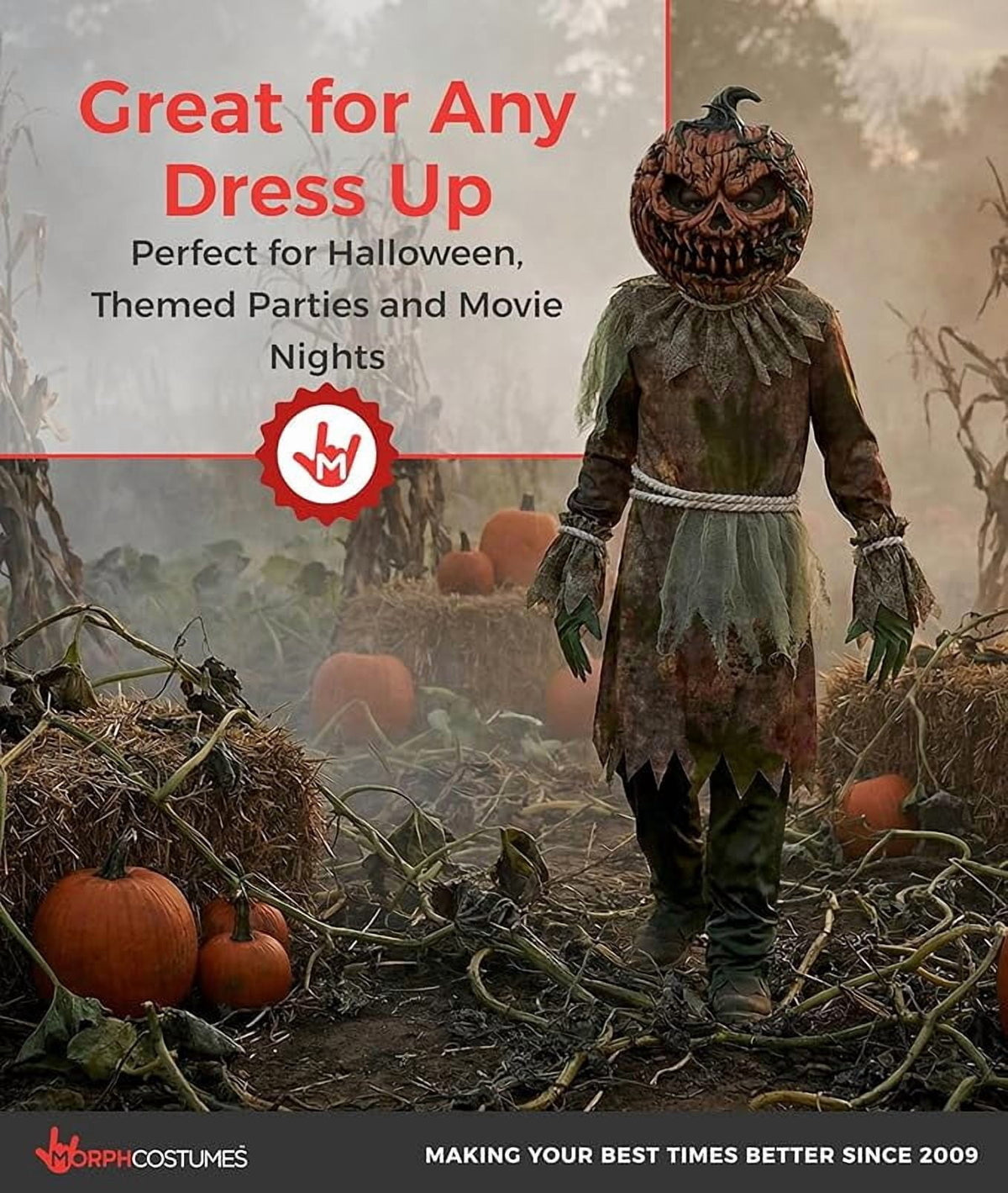 Morph Scarecrow Pumpkin Boys Halloween Costume for Boy Brown Large