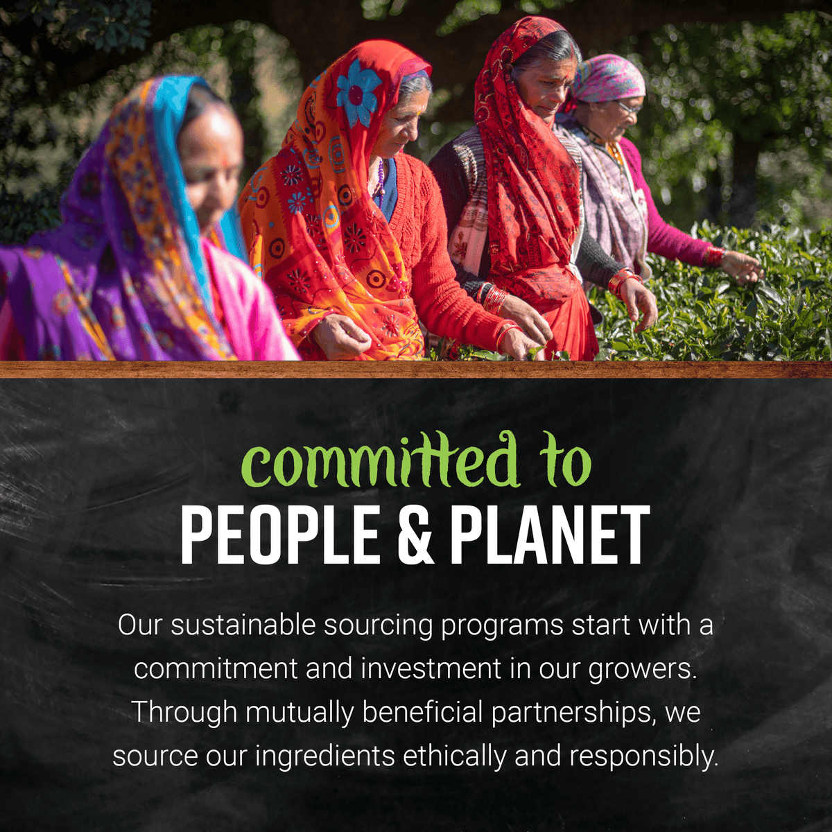 Frontier Co-op Organic Vanilla Flavoring 4 fl. oz.