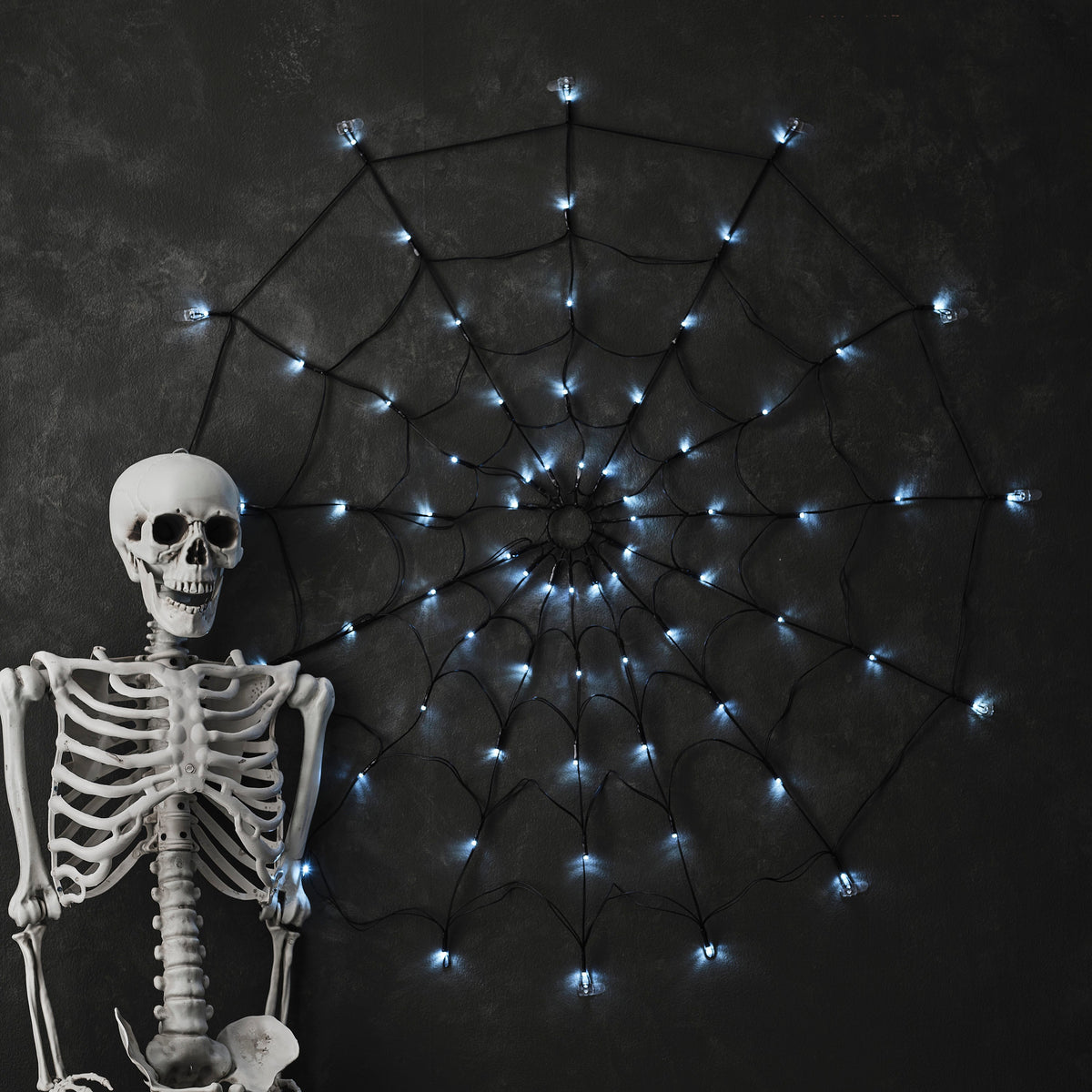 Light Up Spiderweb Decoration