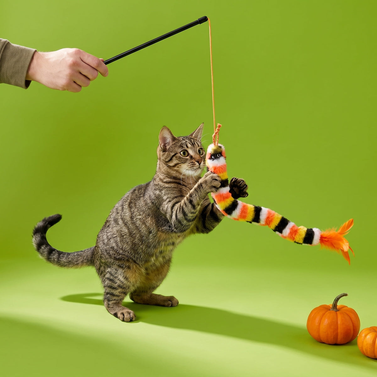 Vibrant Life Halloween Teaser Wand and Crinkle Ball Cat Toy Set, Orange and Black