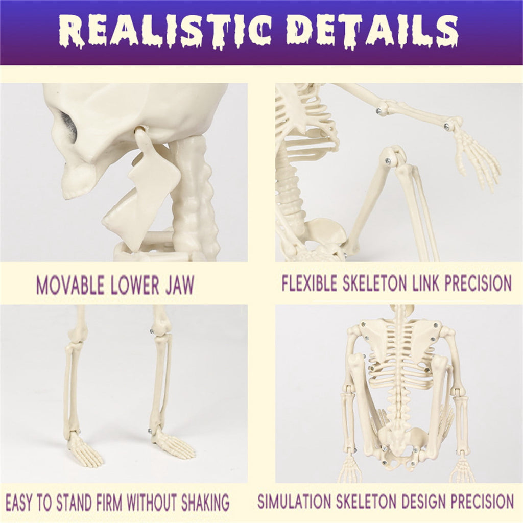 Qocolhg Halloween Posable Skeletons, Full Body Human Skeleton with Movable Joints for Halloween Haunted House Graveyard Party Scary Decor