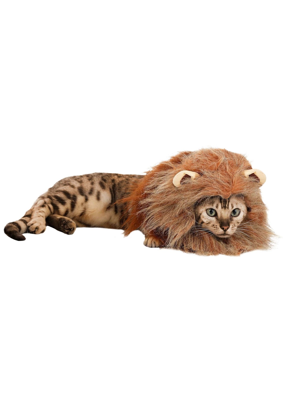 Lion Dog Costume, Pet Zoo Animal Outfit