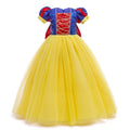 HAWEE Girls' Snow Princess Deluxe Costume Fancy Dress up with Accessories for Girls Halloween Christmas Party