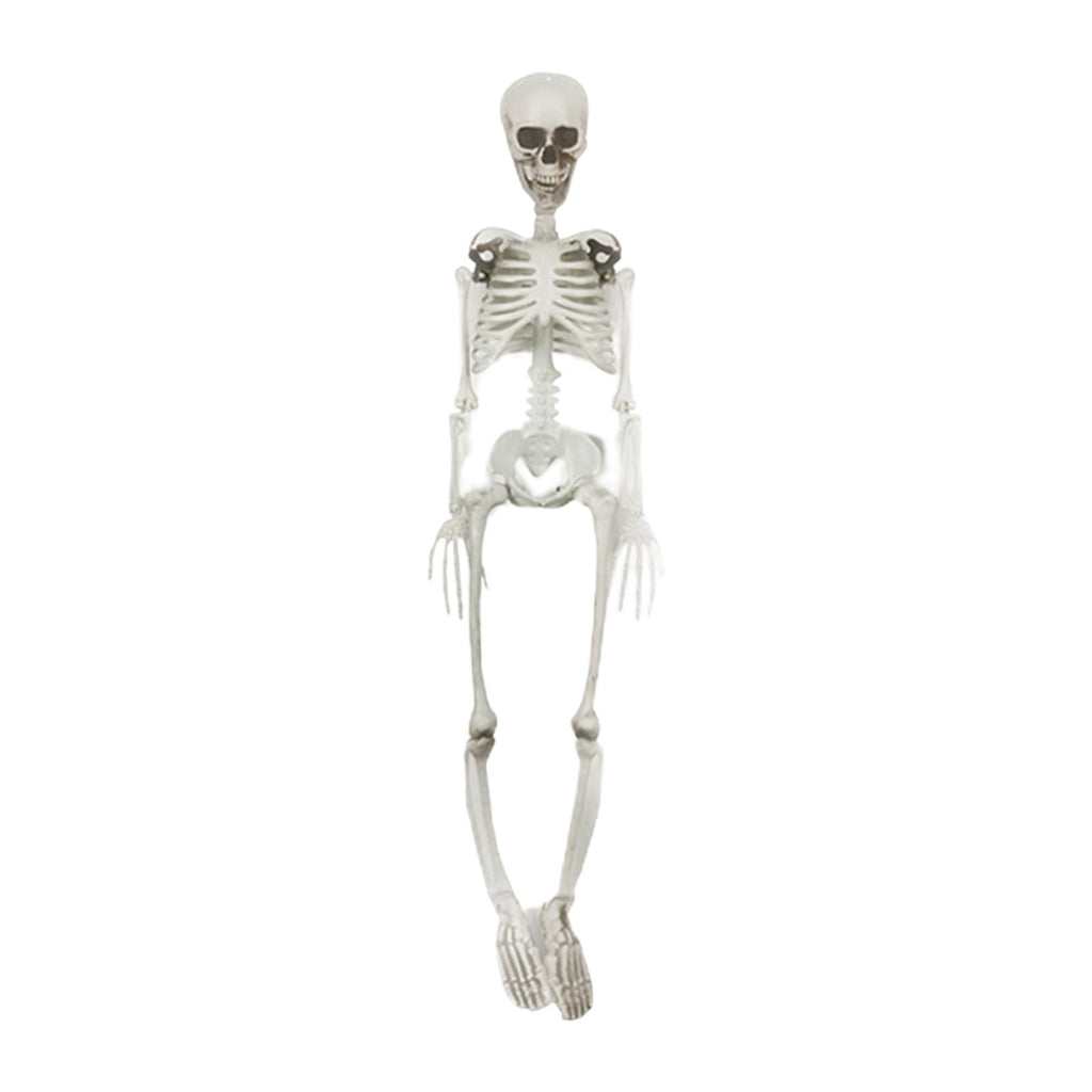 Nrmvnmi 35.4 Inch Halloween Skeleton - Life Size Full Body Realistic Human Bones with Posable Joints for Halloween Pose Skeleton Prop Decoration