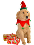 Rubies Holiday Elf Pet Costume Accessory Set for Dogs or Cats, Medium/Large