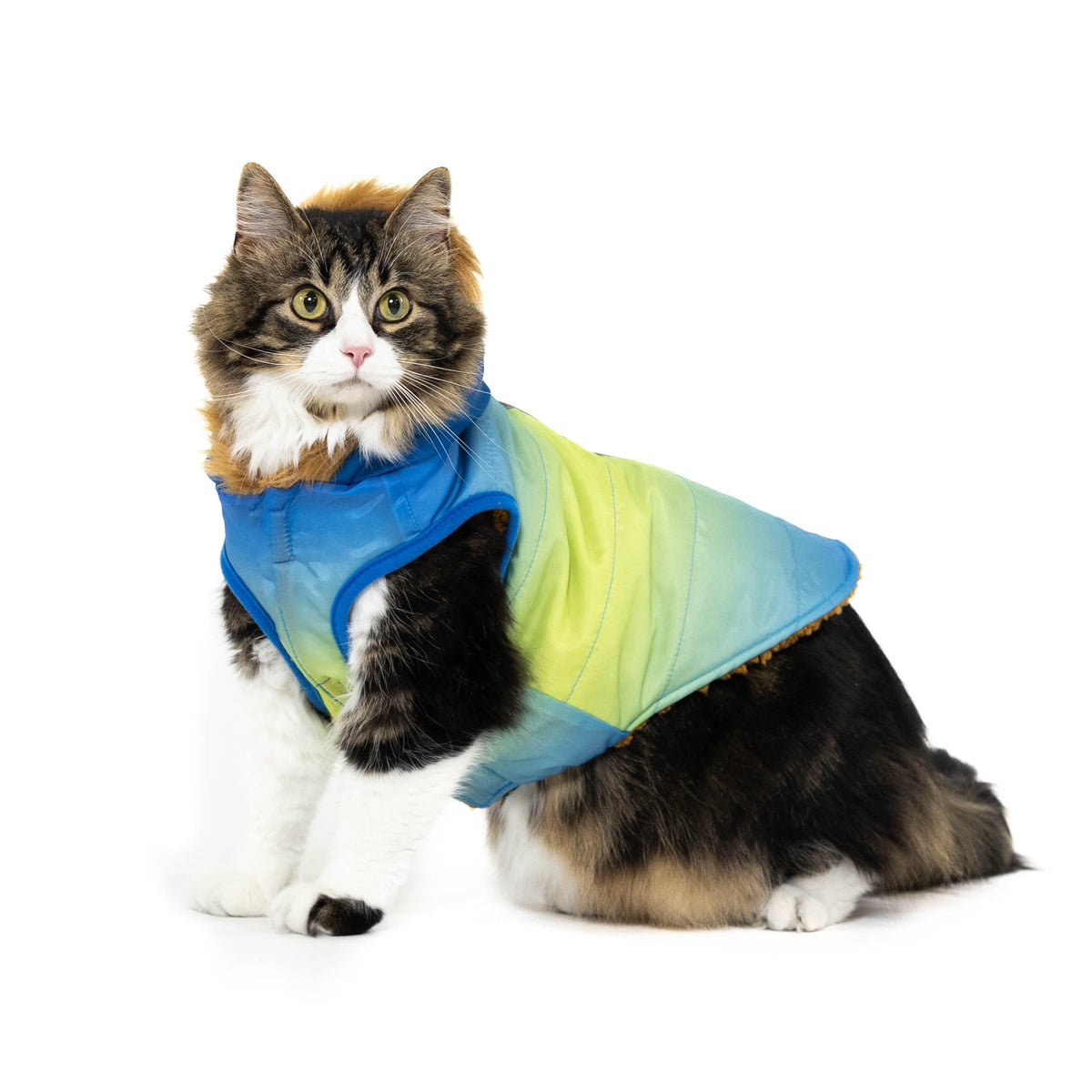 Vibrant Life Pet Hooded Jacket, Blue Ombre, S