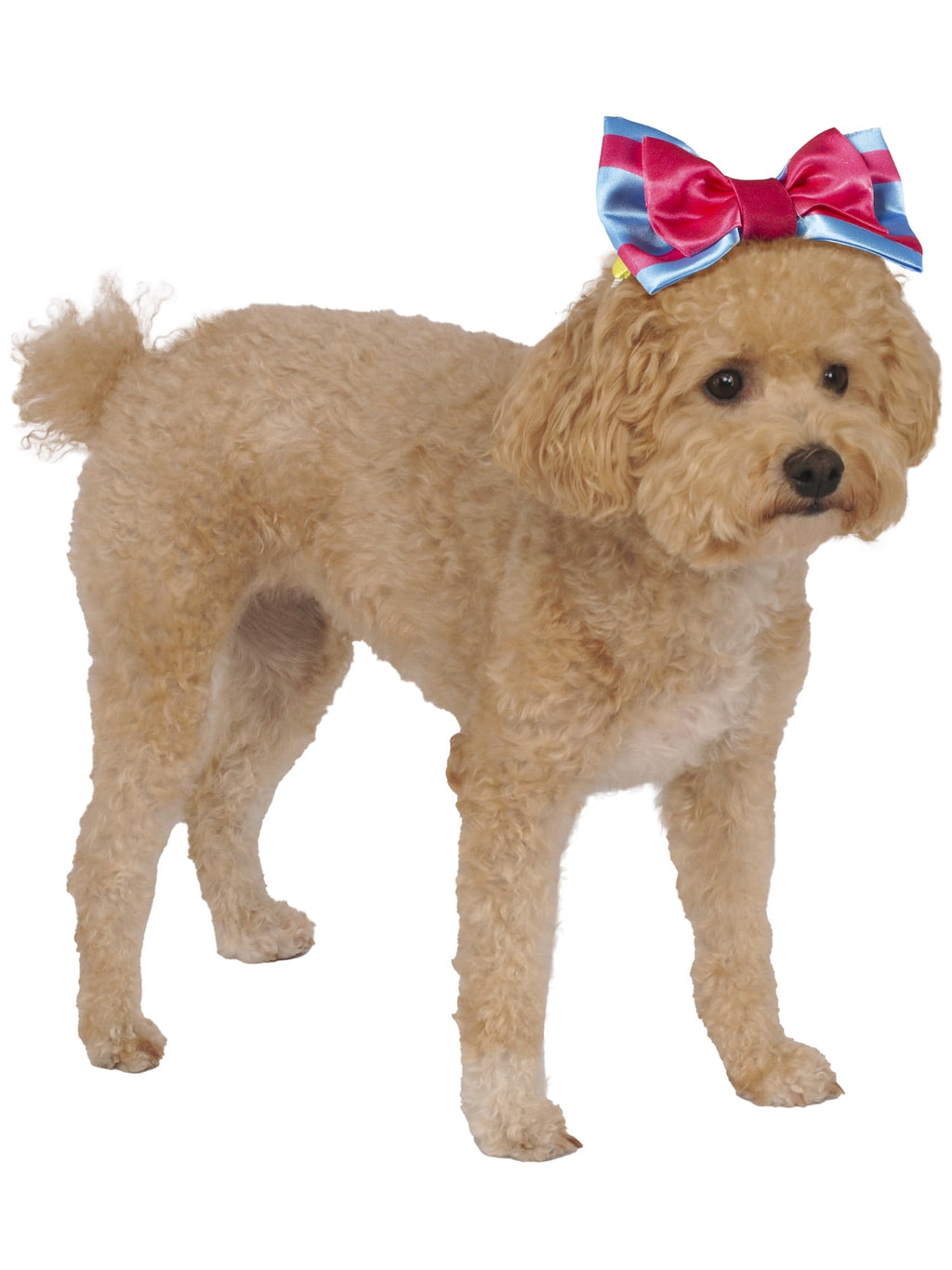 Snow White Pet Toy Bundle