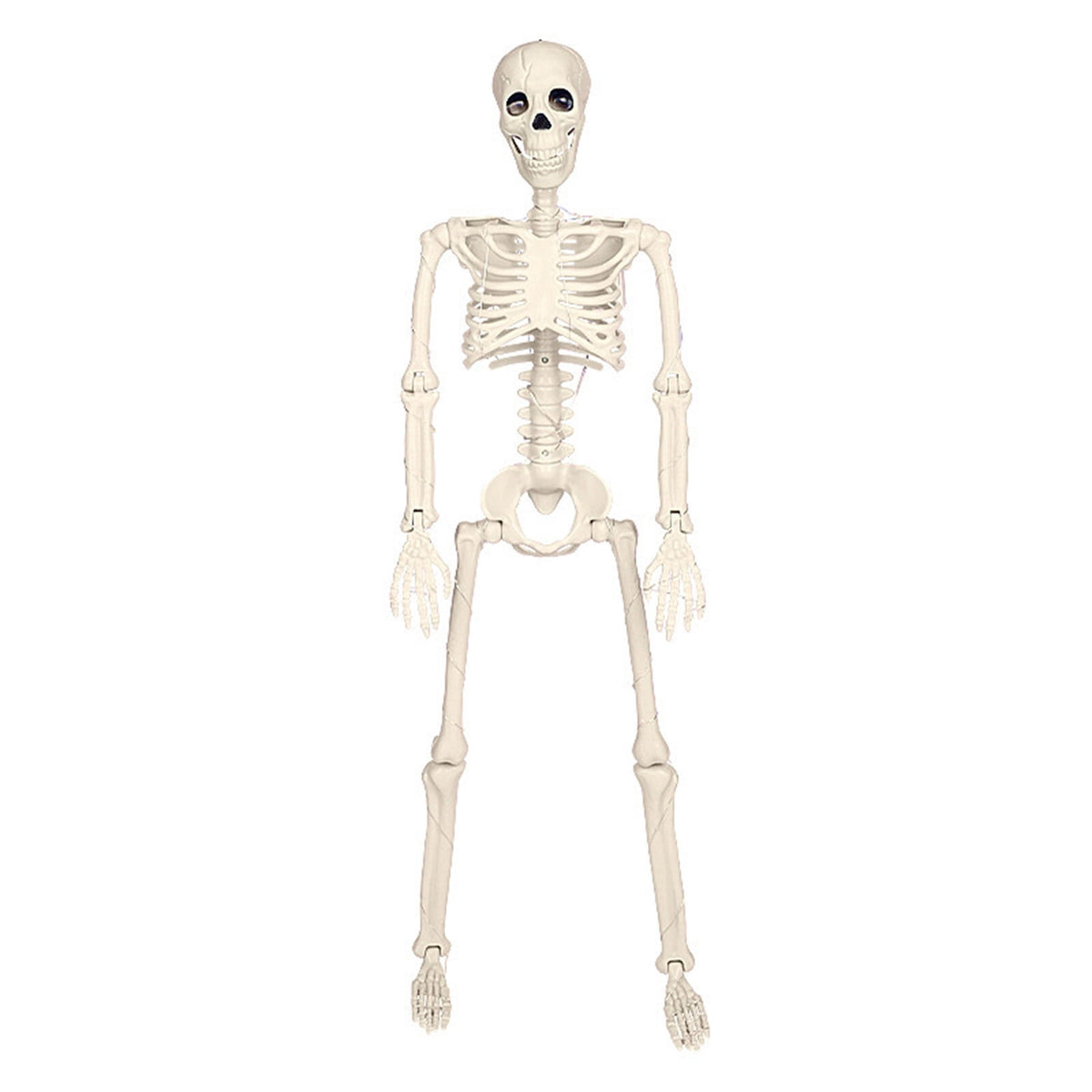 amlbb Halloween Decoration Halloween Skeleton Horror Decorations Simulation Animals Skeleton Ornaments Bar Decoration Frogs Skeleton on Clearance