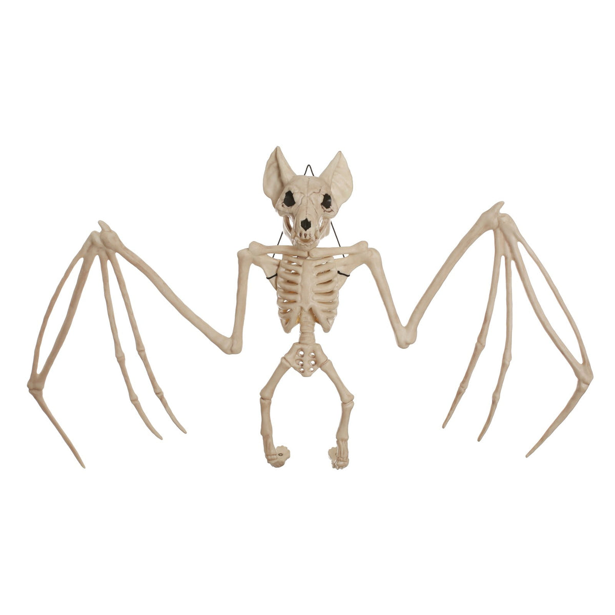 Official Crazybonez Faux Parrot Skeleton